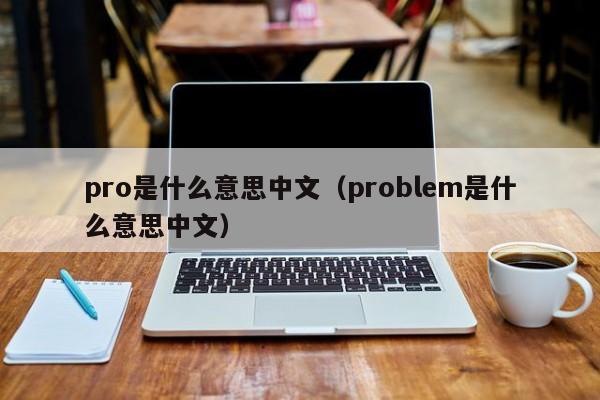 pro是什么意思中文（problem是什么意思中文）